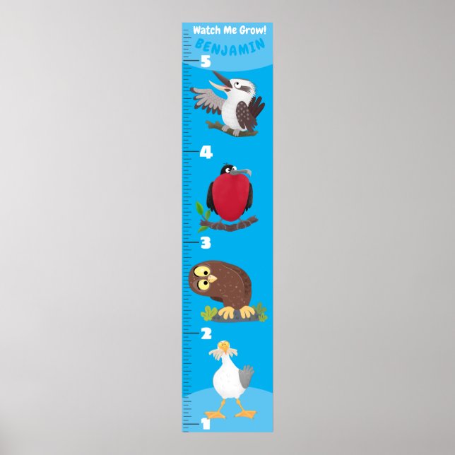 Affiche Caricature d'oiseaux amusants (Devant)