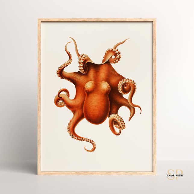Affiche Carl Chun Vintage Octopus Illustration Marine (Créateur téléchargé)