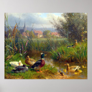 Affiche Carl Jutz Ducks