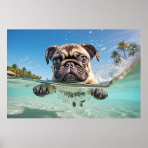 Affiche Carlin animal chien animal chien jeu d'eau dehors