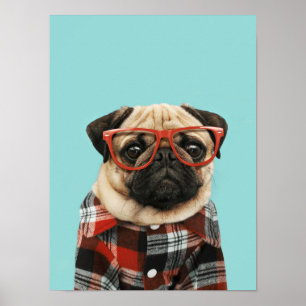 Affiche Carlin Chemise Plaid