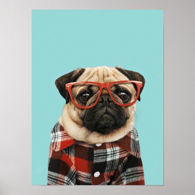 Affiche Carlin Chemise Plaid (Devant)