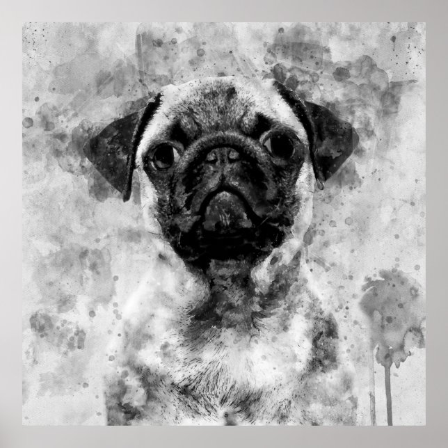 Affiche Carlin Chien Aquarelle noir et blanc 01 (Devant)