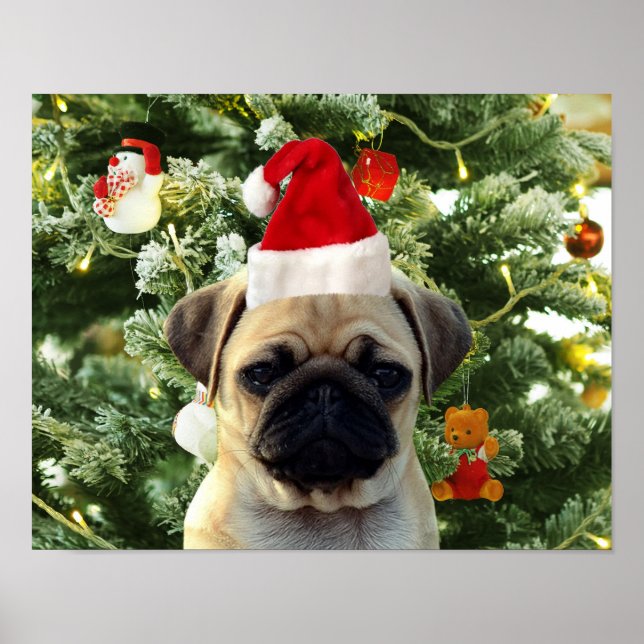Affiche Carlin Chien Chien Chien de Noël Arbre de Noël Orn (Devant)