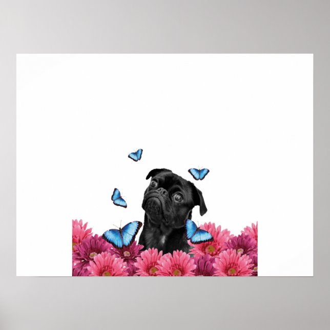 Affiche Carlin Gerbera Papillons | Chien noir mignon (Devant)