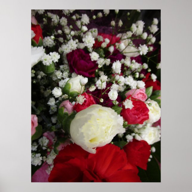 Affiche Carnation and Baby Breaths Flower Bouquet (Devant)
