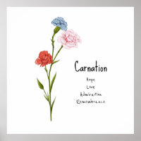 Carnation Janvier Fleur de naissance aquarelle Art
