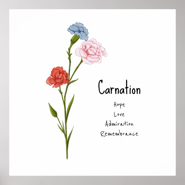 Affiche Carnation Janvier Fleur de naissance aquarelle Art (Devant)