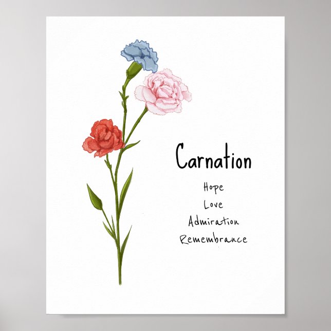 Affiche Carnation Janvier Fleur de naissance aquarelle Art (Devant)