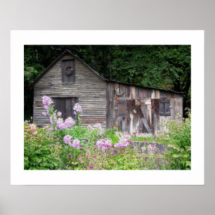 Affiche Carolina Cabine