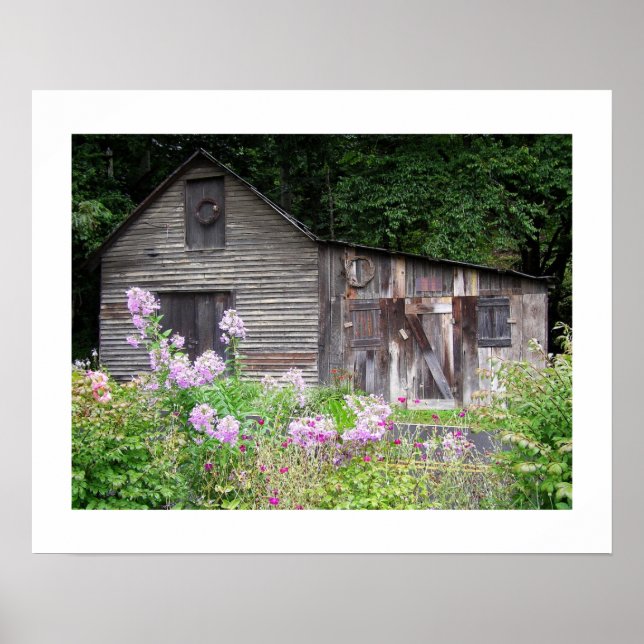 Affiche Carolina Cabine (Devant)