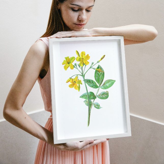 Affiche Carolina Jasmine Botanique Art (Créateur téléchargé)
