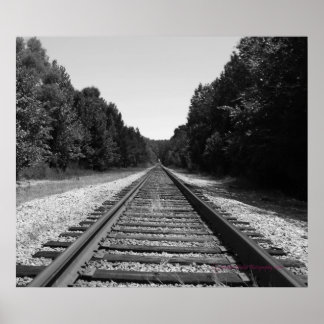 Affiche Carolina Trails