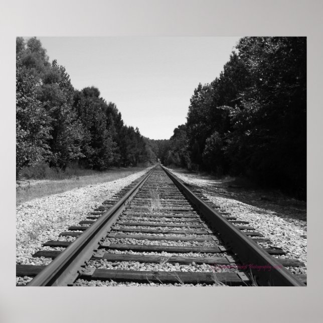 Affiche Carolina Trails (Devant)