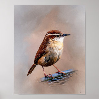 Affiche Carolina Wren