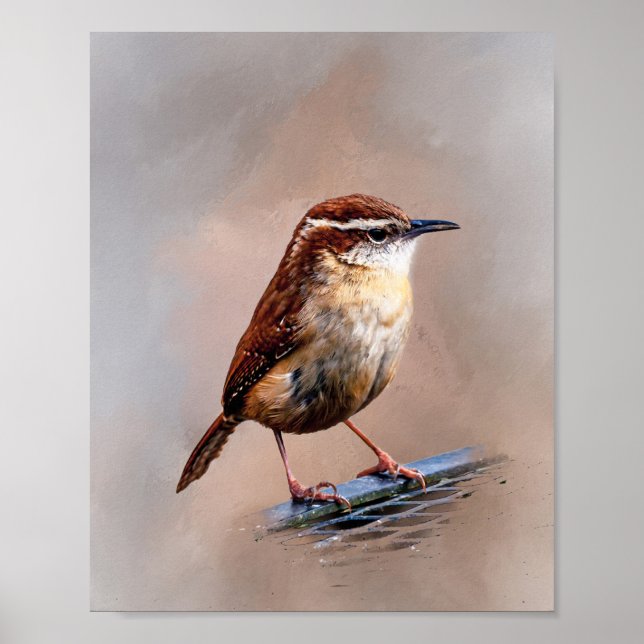 Affiche Carolina Wren (Devant)