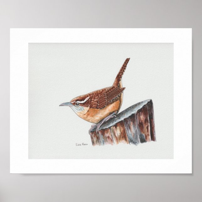 Affiche Carolina Wren Art Imprimer (Devant)