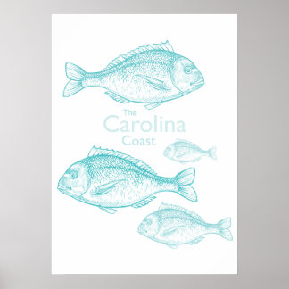 Affiche Caroline Côtière Vintage Turquoise Poisson d'Eau d