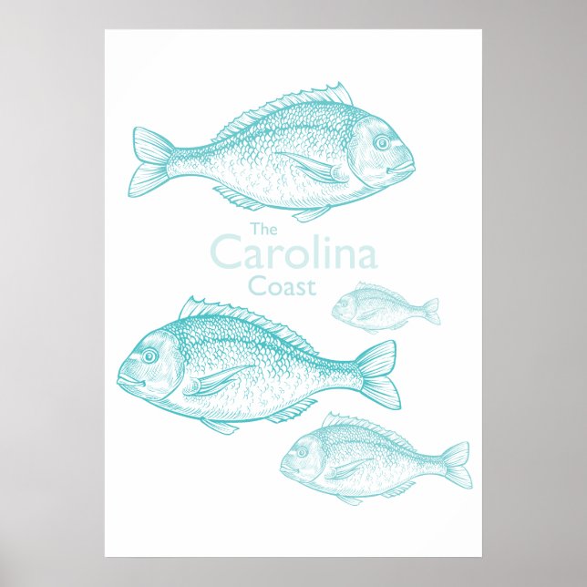 Affiche Caroline Côtière Vintage Turquoise Poisson d'Eau d (Devant)