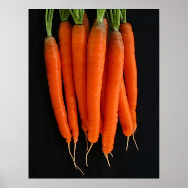 Affiche Carottes fraîches du jardin (Devant)