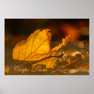 Affiche Carpe Diem personnalisable avec feuille colorée Po