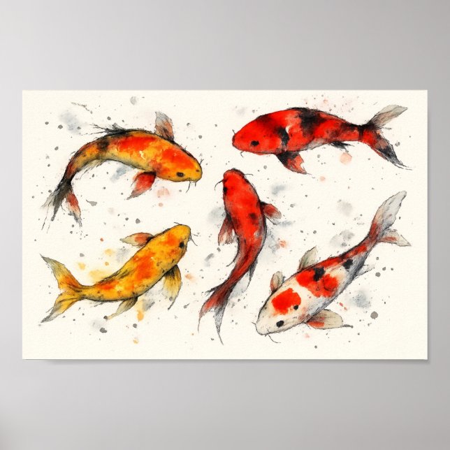 Affiche Carpe Koï  (Devant)