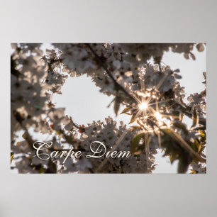 Affiche Carpe personnelle Diem brillante fleurs de pommier