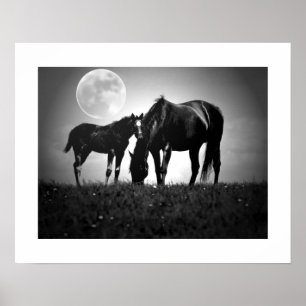 Affiche carrée Pop Art Chevaux & Lune
