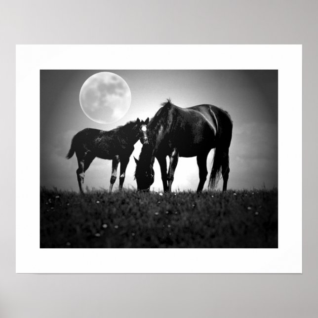 Affiche carrée Pop Art Chevaux & Lune (Devant)