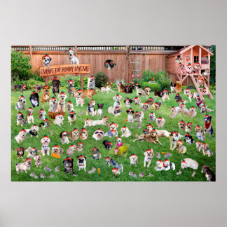 Affiche Carrot Top Bunny Daycare 2015