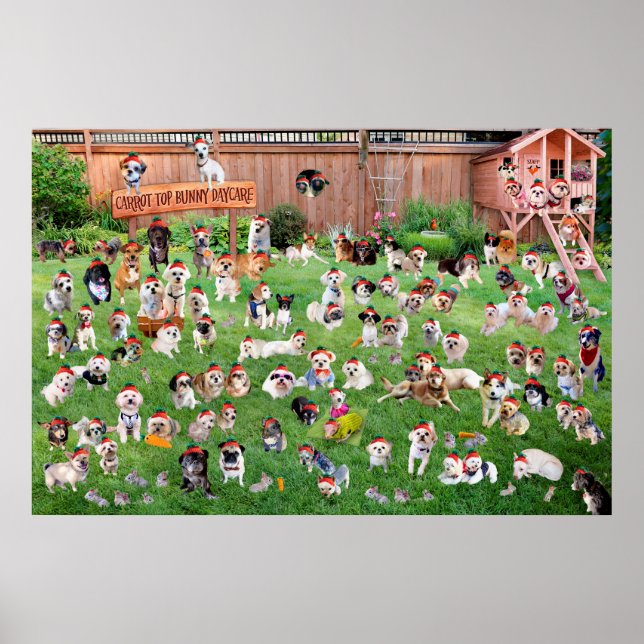 Affiche Carrot Top Bunny Daycare 2015 (Devant)