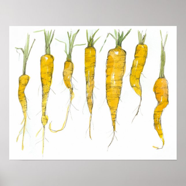 Affiche Carrots Garden Vegetable Watercolor Ink Drawing (Devant)
