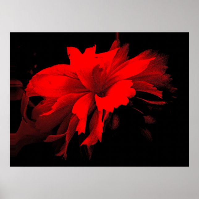 Affiche carrousel 2 (Devant)