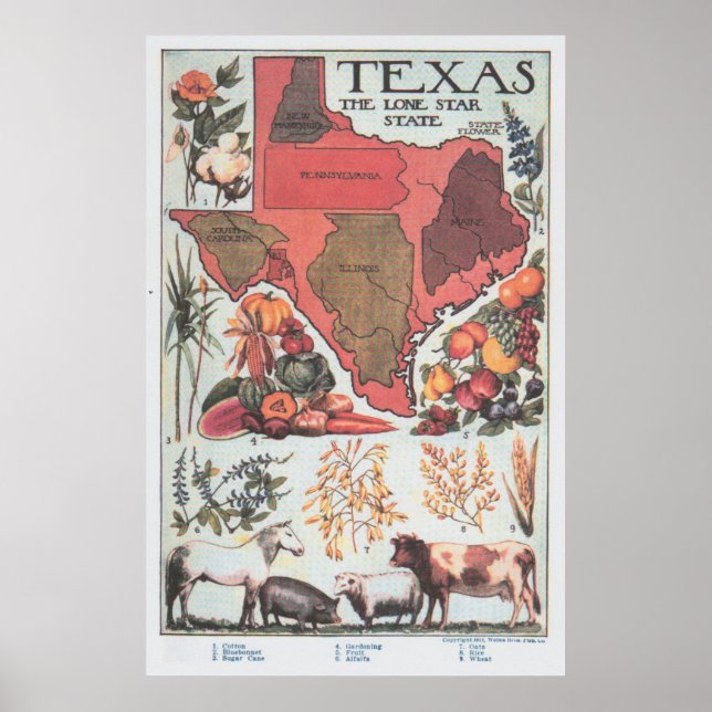 Affiche Carte agricole du Texas vintage (1922) (Devant)