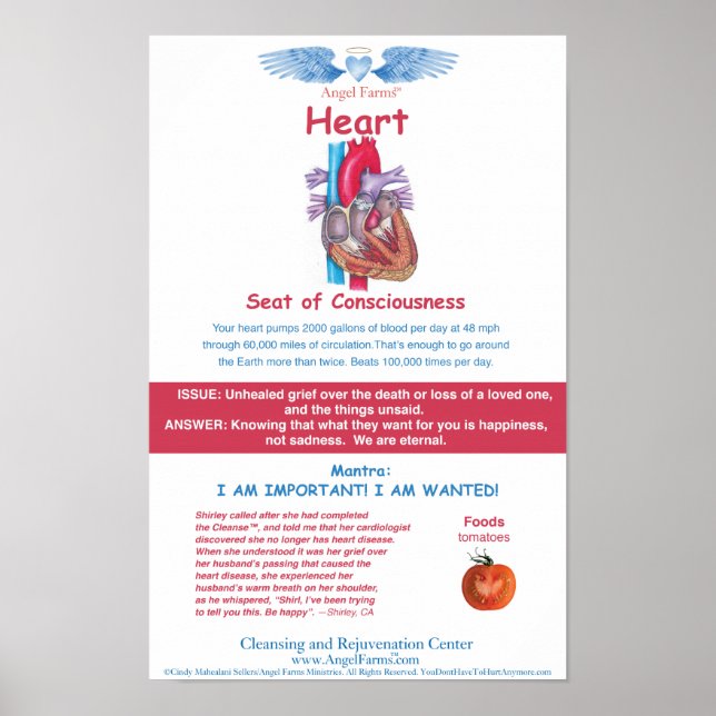 Affiche Carte cardiaque des fermes d'anges (Devant)