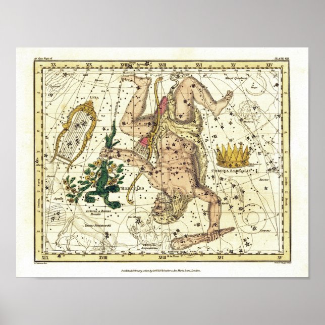 Affiche Carte céleste ancienne de la constellation d'Hercu (Devant)