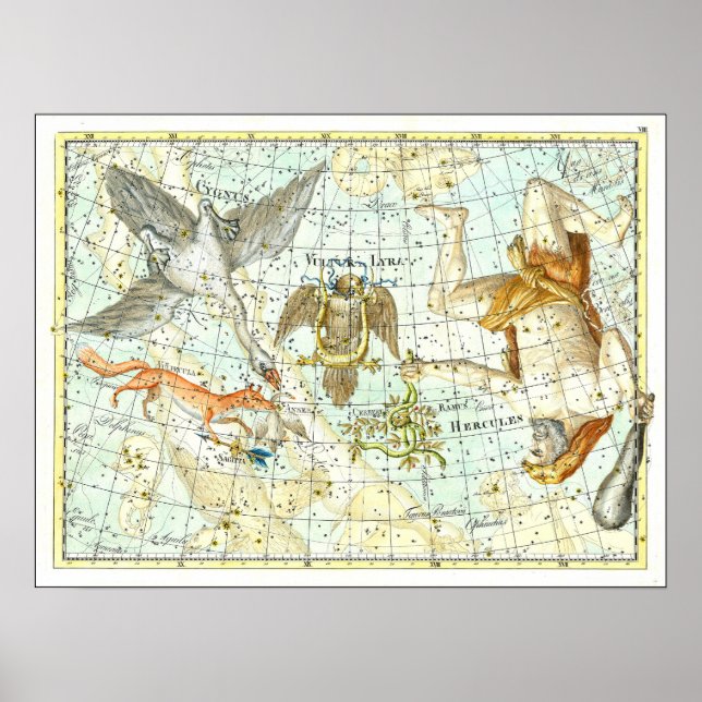 Affiche Carte céleste ancienne de la constellation d'Hercu (Devant)