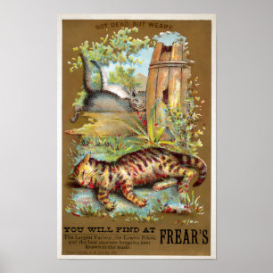 Affiche Carte de commerce pour chats Frears #5 (sur 6)
