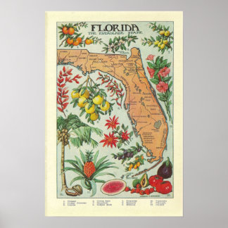 Affiche Carte de Floride vintage - Floride