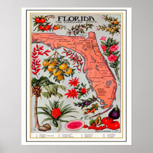 Affiche Carte de la prime de la Floride