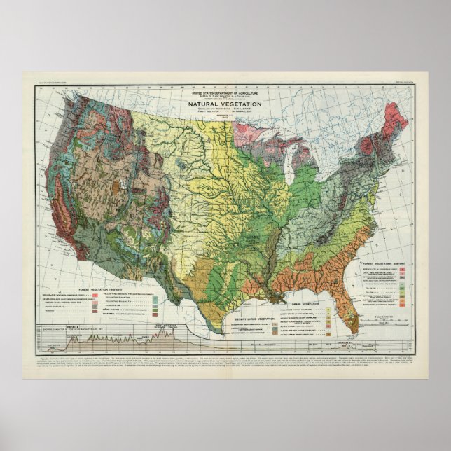 Affiche Carte de la végétation naturelle des États-Unis (1 (Devant)