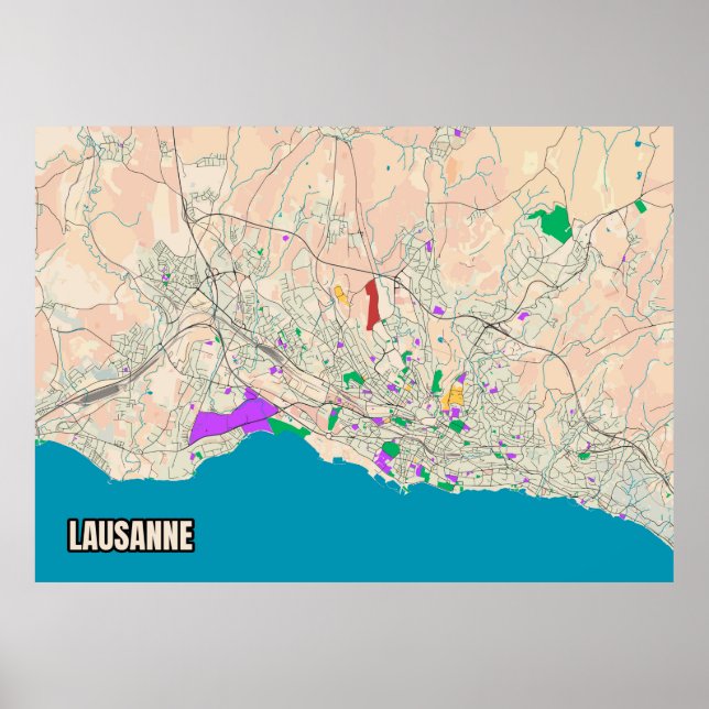 Affiche Carte de Lausanne (Devant)