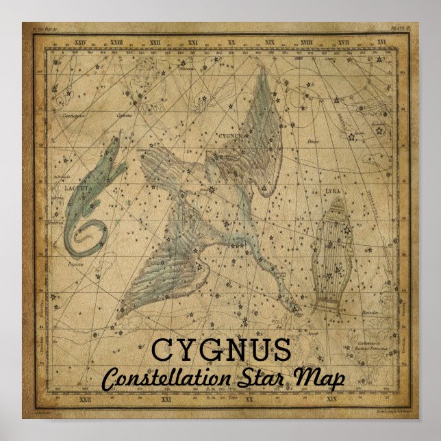 Affiche Carte de l'étoile Cygnus Swan Constellation (Devant)