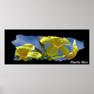 Affiche Carte de l'île aux fleurs jaunes de Porto Rico
