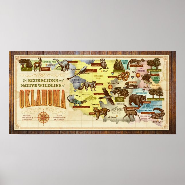 Affiche Carte de l'Oklahoma : Écorégions et faune autochto (Devant)
