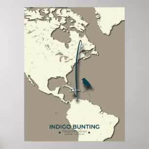Affiche Carte de migration de Bunting Indigo - Vintage min