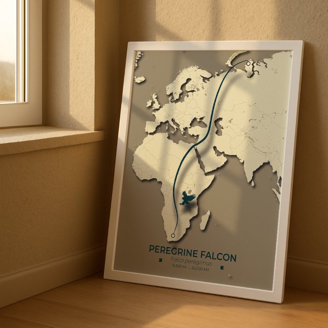 Affiche Carte de migration de faucon pèlerin - Minimaliste (Créateur téléchargé)