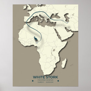 Affiche Carte de migration de la cigogne blanche - Bir Vin