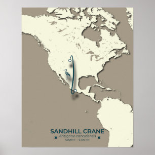 Affiche Carte de migration de la grue de Sandhill - Minima