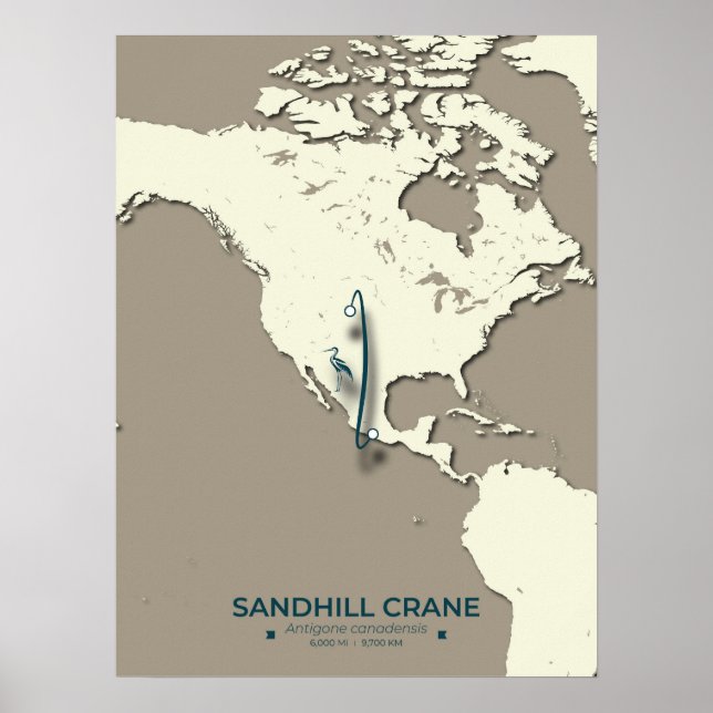 Affiche Carte de migration de la grue de Sandhill - Minima (Devant)
